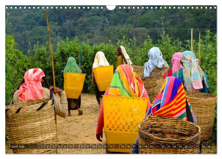 Produktbild: Sri Lanka - Eine Bilder-Reise (Wandkalender 2026 DIN A3 quer), CALVENDO Monatskalender