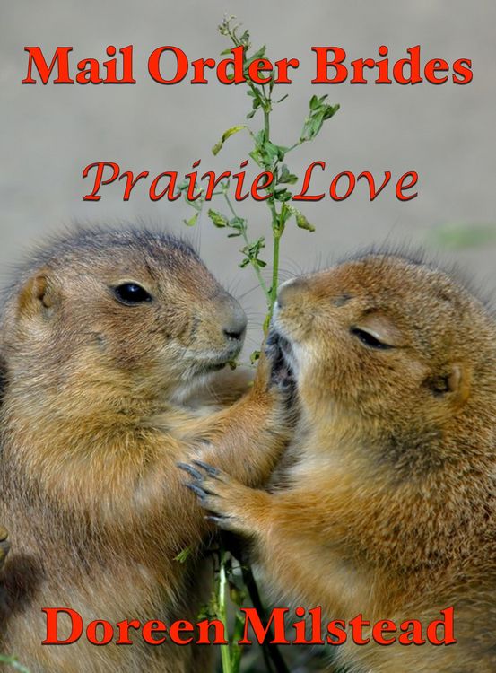 Produktbild: Mail Order Brides: Prairie Love