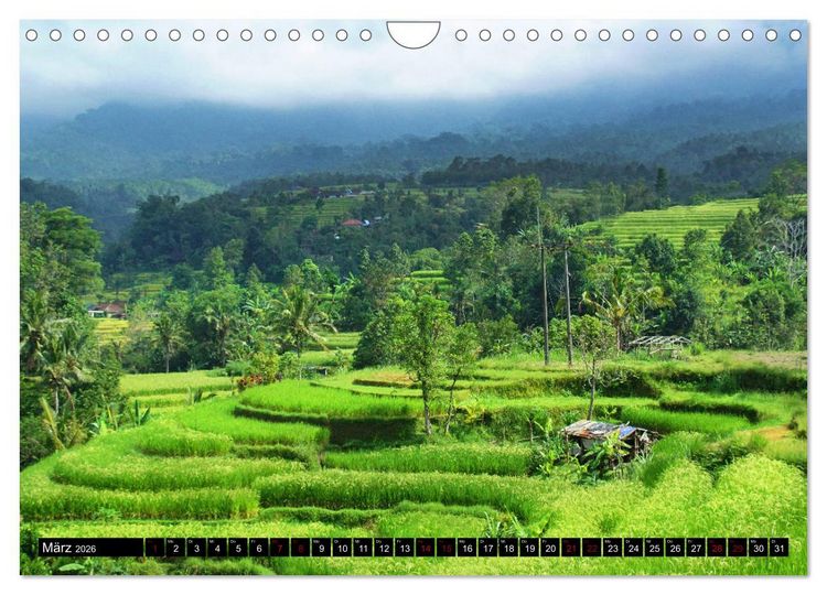 Produktbild: Bali. Im Reich der G&ouml;tter (Wandkalender 2026 DIN A4 quer), CALVENDO Monatskalender