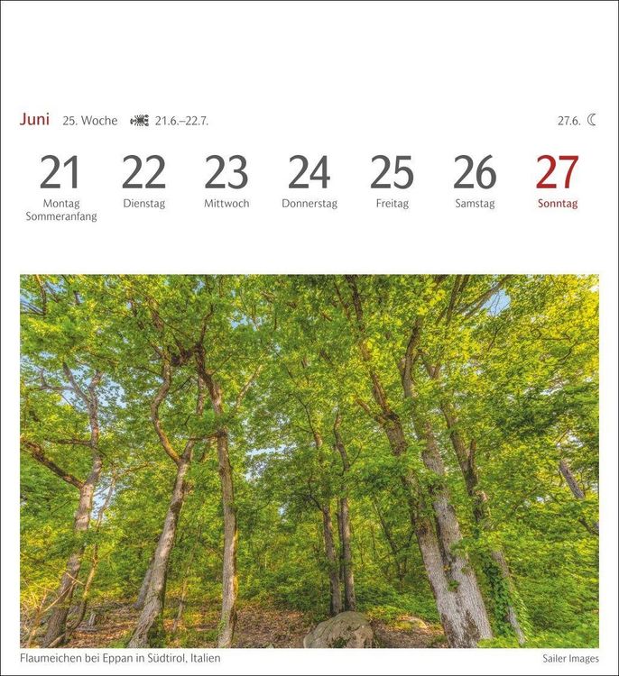 Produktbild: B&auml;ume Postkartenkalender 2027 - Wochenkalender mit 53 Postkarten