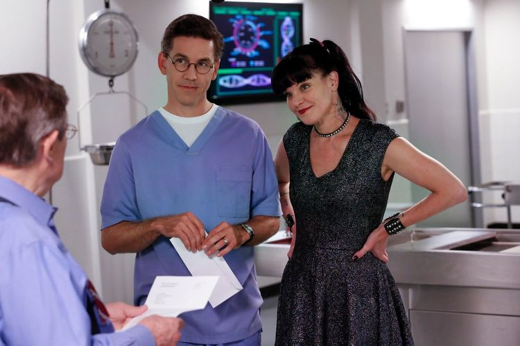 Produktbild: NCIS - Season 15 [6 DVDs]