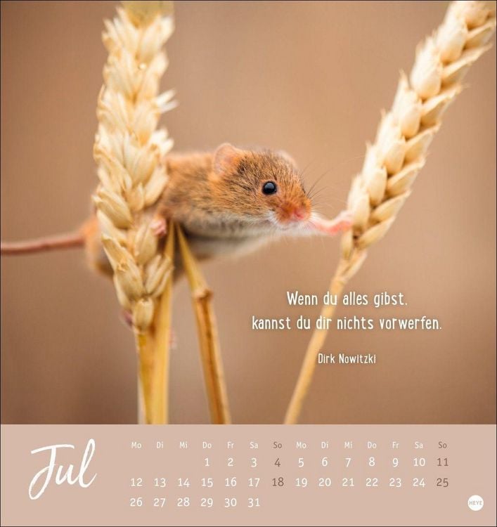 Produktbild: Never give up! Postkartenkalender 2027 - Durchhalten. Denn alles wird gut.
