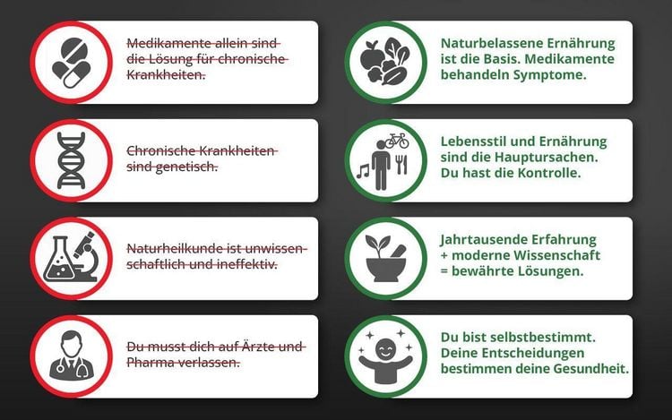 Produktbild: Die Krankheitslügen - Was man macht, um nicht krank zu werden.