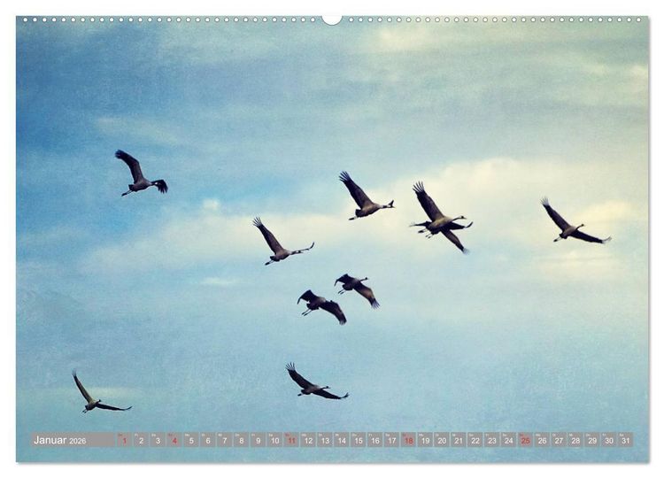 Produktbild: KranichRomantik (Wandkalender 2026 DIN A2 quer), CALVENDO Monatskalender