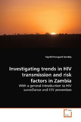 Produktbild: Sand&oslash;y, I: Investigating trends in HIV transmission and risk
