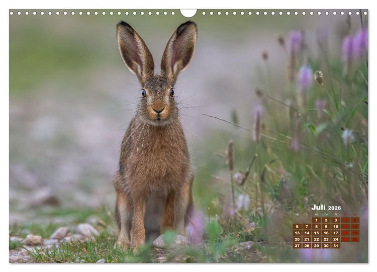 Produktbild: Tiere in freier Wildbahn by VogtArt (Wandkalender 2026 DIN A3 quer), CALVENDO Monatskalender
