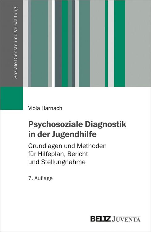 Produktbild: Psychosoziale Diagnostik in der Jugendhilfe