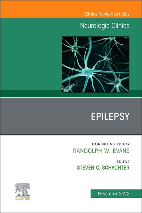 Produktbild: Epilepsy, An Issue of Neurologic Clinics, E-Book