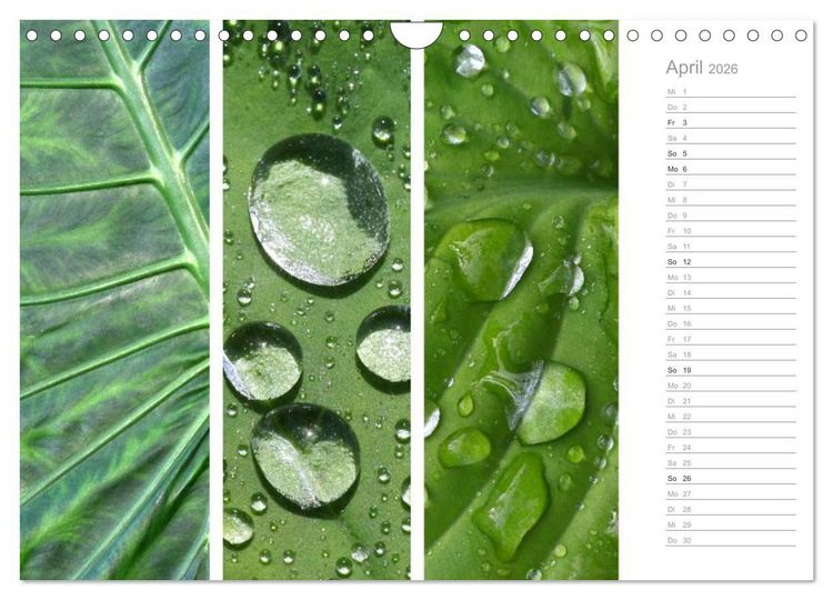Produktbild: Nat&uuml;rlicher Dreiklang (Wandkalender 2026 DIN A4 quer), CALVENDO Monatskalender