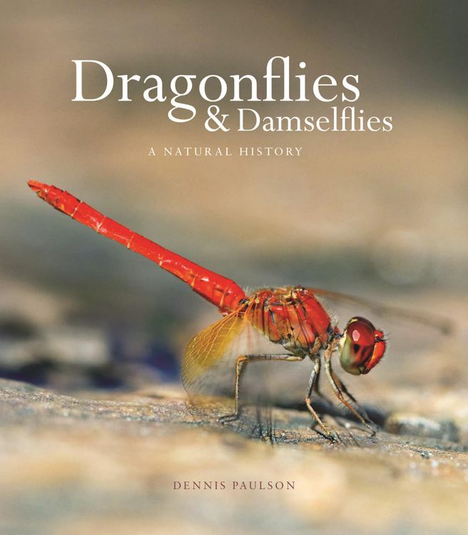 Produktbild: Dragonflies and Damselflies
