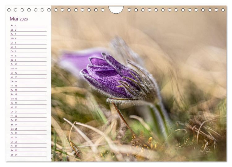 Produktbild: Wenn im Fr&uuml;hling die Natur wieder erwacht (Wandkalender 2026 DIN A4 quer), CALVENDO Monatskalender