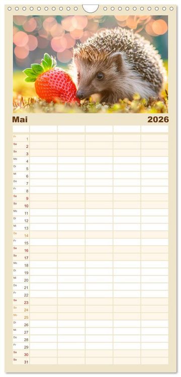 Produktbild: Familienplaner 2026 - Mein Igel-Kalender mit 5 Spalten (Wandkalender, 21 x 45 cm) CALVENDO
