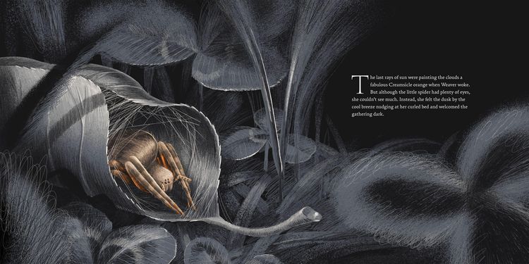 Produktbild: Weaver and the Web