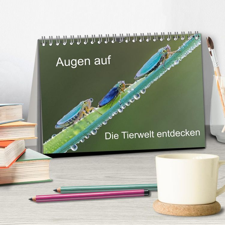 Produktbild: Augen auf - versteckte Tierwelt (Tischkalender 2026 DIN A5 quer), CALVENDO Monatskalender