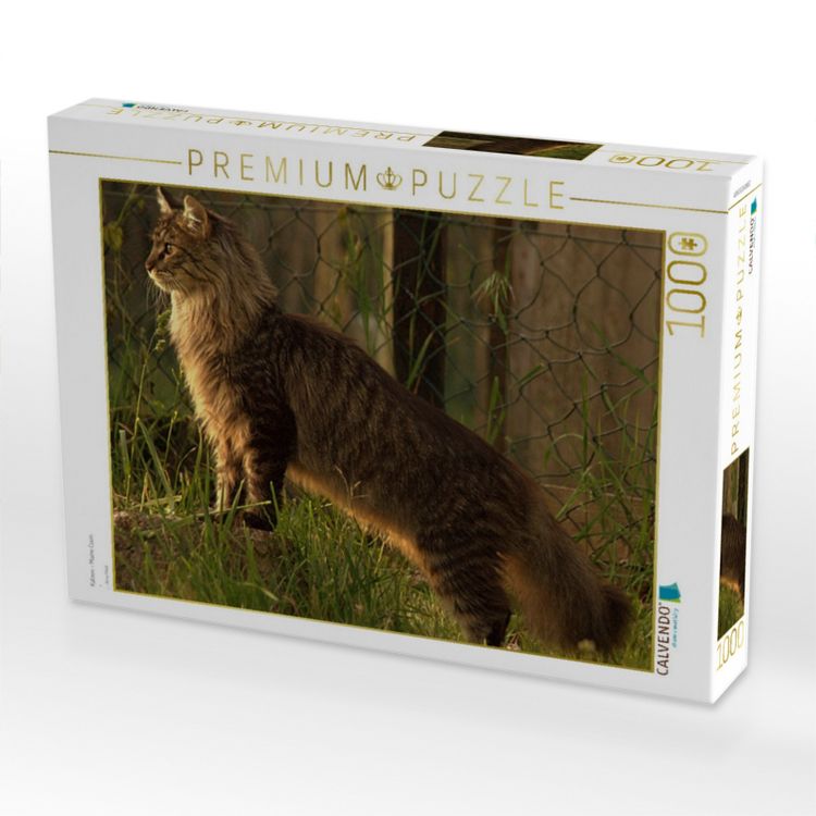 Produktbild: CALVENDO Puzzle Katzen - Maine Coon | 1000 Teile Lege-Gr&ouml;&szlig;e 64x48cm Foto-Puzzle f&uuml;r gl&uuml;ckliche Stunden