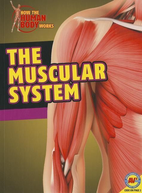 Produktbild: The Muscular System