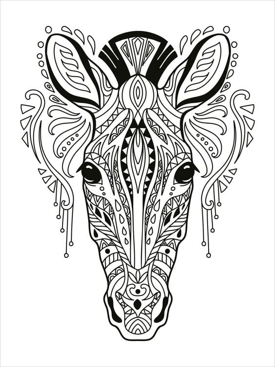 Produktbild: Mein Mandala-Tier-Malbuch &ndash; Wilde Tiere
