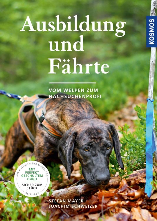 Produktbild: Ausbildung und F&auml;hrte