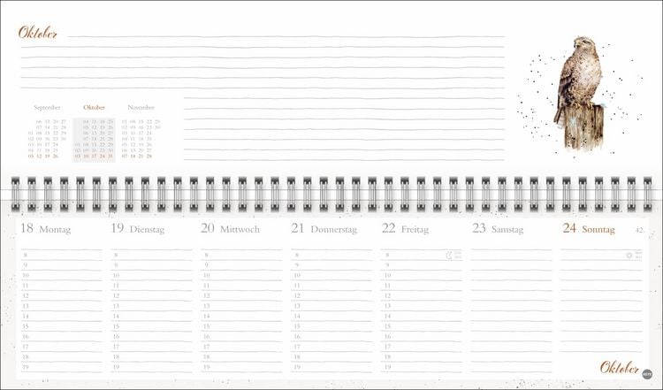 Produktbild: Hannah Dale : Wochenquerplaner 2027