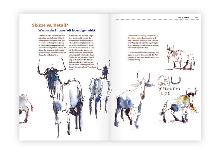 Produktbild: Tiere zeichnen und verstehen