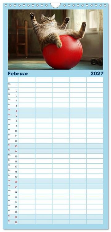 Produktbild: Familienplaner 2027 - Lustige Sportarten f&uuml;r Katzen mit 5 Spalten (Wandkalender, 21 x 45 cm) CALVENDO