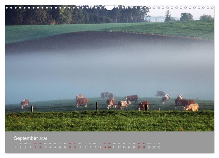Produktbild: Hallertau (Wandkalender 2026 DIN A3 quer), CALVENDO Monatskalender