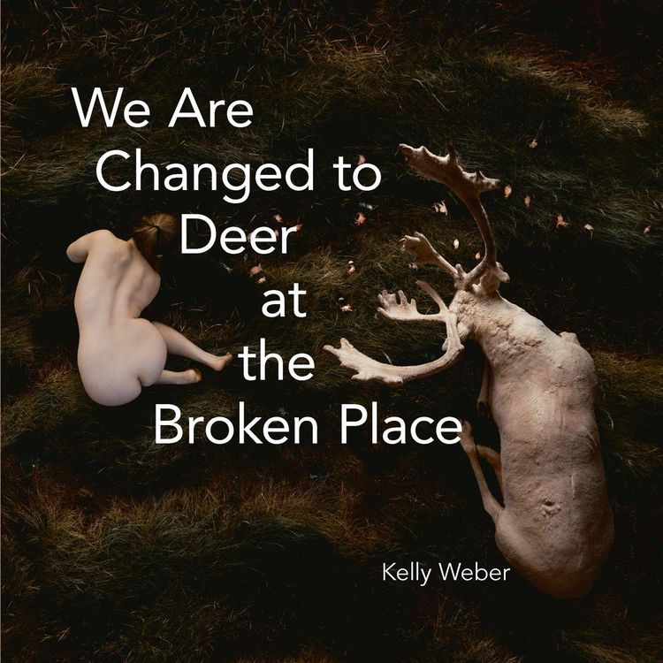 Produktbild: We Are Changed to Deer at the Broken Place