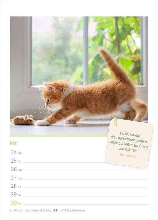 Produktbild: Katzengl&uuml;ck Wochenkalender 2027 - mit Zitaten