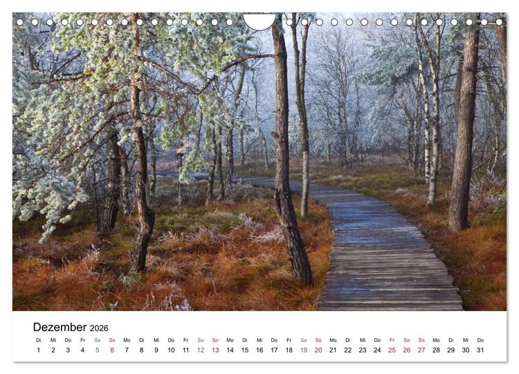 Produktbild: Auf neuen Wegen (Wandkalender 2026 DIN A4 quer), CALVENDO Monatskalender