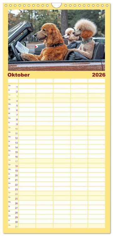 Produktbild: Familienplaner 2026 - S&uuml;&szlig;e Hunde cruisen - durch das Jahr mit dem Hundekalender mit 5 Spalten (Wandkalender, 21 x 45 cm) CALVENDO