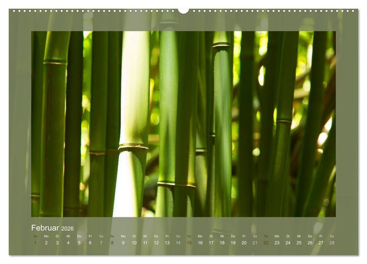 Produktbild: Bambus (hochwertiger Premium Wandkalender 2026 DIN A2 quer), Kunstdruck in Hochglanz