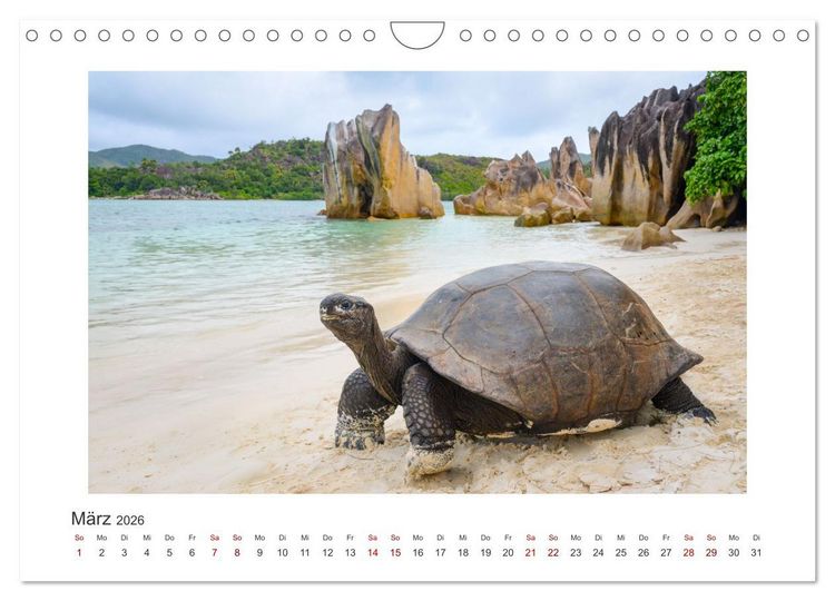 Produktbild: Seychellen - unterwegs mit Julia Hahn (Wandkalender 2026 DIN A4 quer), CALVENDO Monatskalender