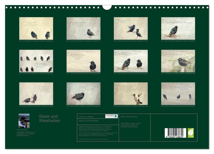 Produktbild: Stare und Weisheiten (Wandkalender 2027 DIN A3 quer), CALVENDO Monatskalender