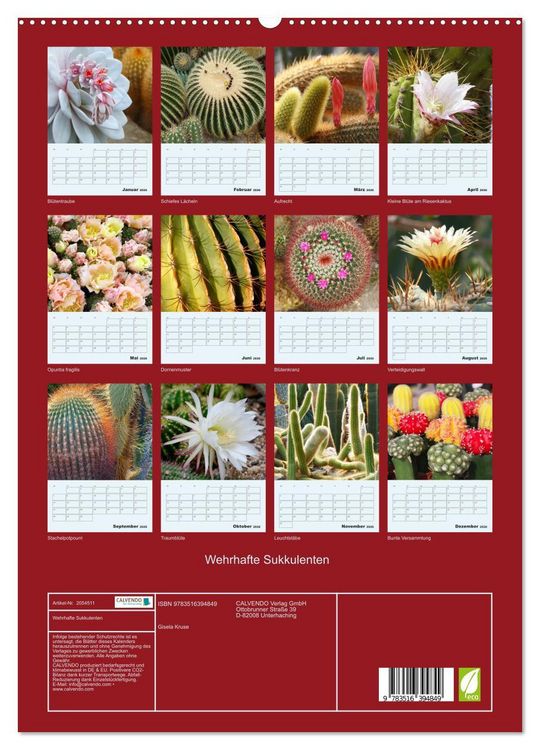 Produktbild: Wehrhafte Sukkulenten (hochwertiger Premium Wandkalender 2026 DIN A2 hoch), Kunstdruck in Hochglanz