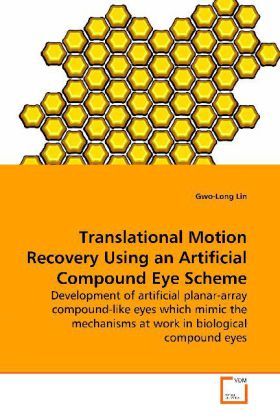 Produktbild: Lin, G: Translational Motion Recovery Using an Artificial Co