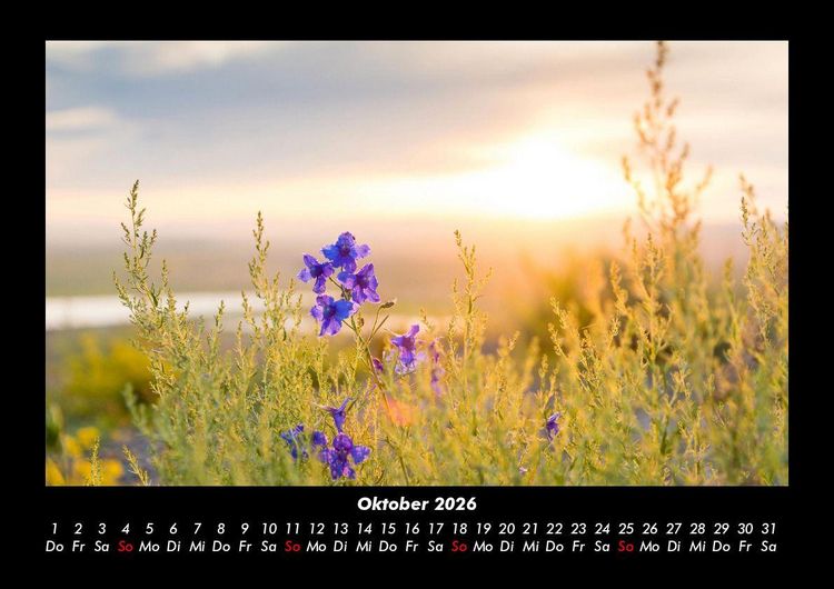 Produktbild: Blumenkalender 2026 Fotokalender DIN A3