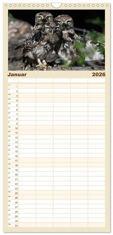 Produktbild: Familienplaner 2026 - Faszination Steinkauz mit 5 Spalten (Wandkalender, 21 x 45 cm) CALVENDO