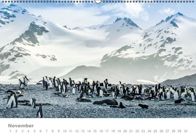 Produktbild: ANTARKTIS (Wandkalender immerw&auml;hrend DIN A2 quer)