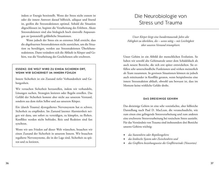 Produktbild: Bin ich traumatisiert?