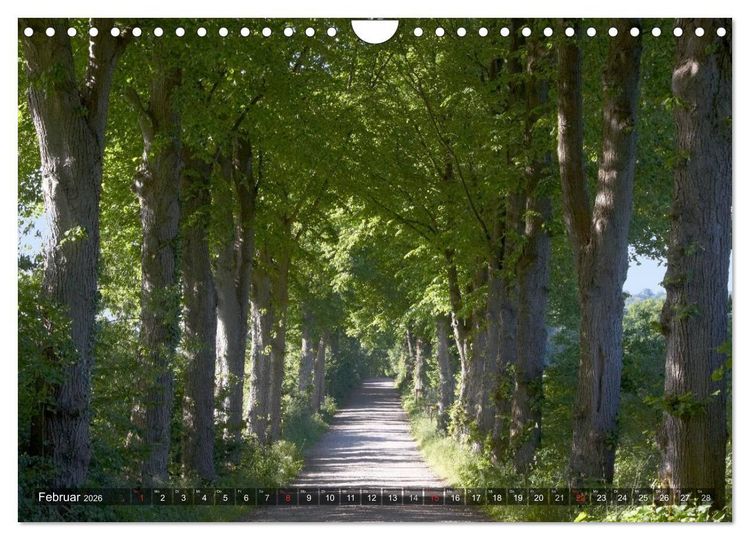 Produktbild: Naturpark Holsteinische Schweiz (Wandkalender 2026 DIN A4 quer), CALVENDO Monatskalender