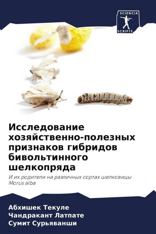 Produktbild: Issledowanie hozqjstwenno-poleznyh priznakow gibridow biwol'tinnogo shelkoprqda