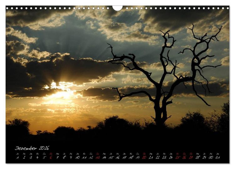 Produktbild: S&uuml;dafrika (Wandkalender 2026 DIN A3 quer), CALVENDO Monatskalender