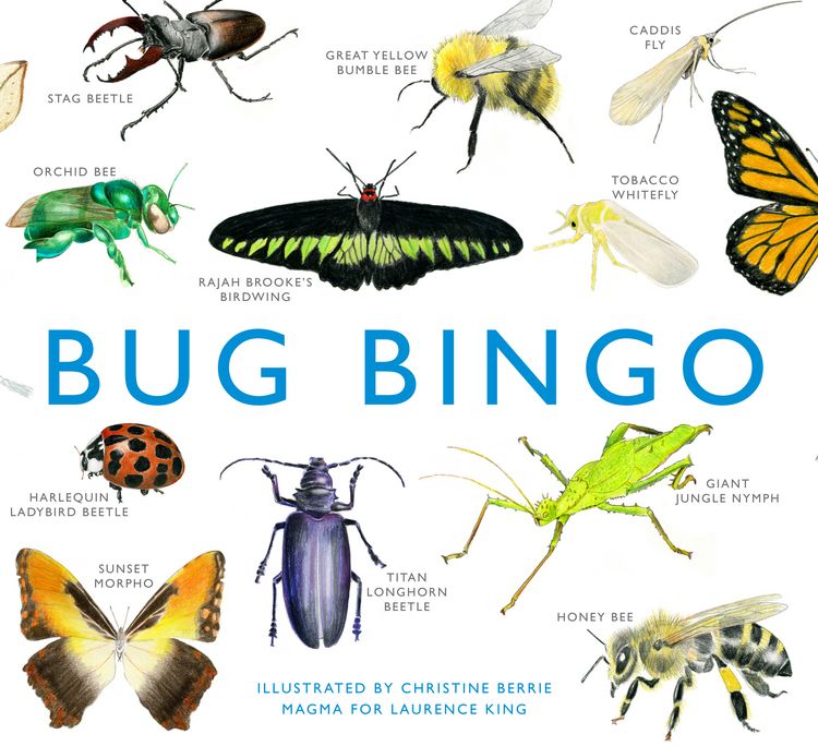 Produktbild: Bug Bingo