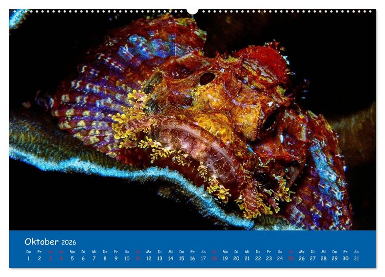 Produktbild: Unterwasserwelten (hochwertiger Premium Wandkalender 2026 DIN A2 quer), Kunstdruck in Hochglanz
