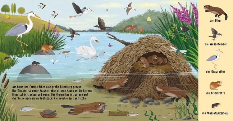Produktbild: Mein erstes Natur-Wimmelbuch: Tiere am Wasser