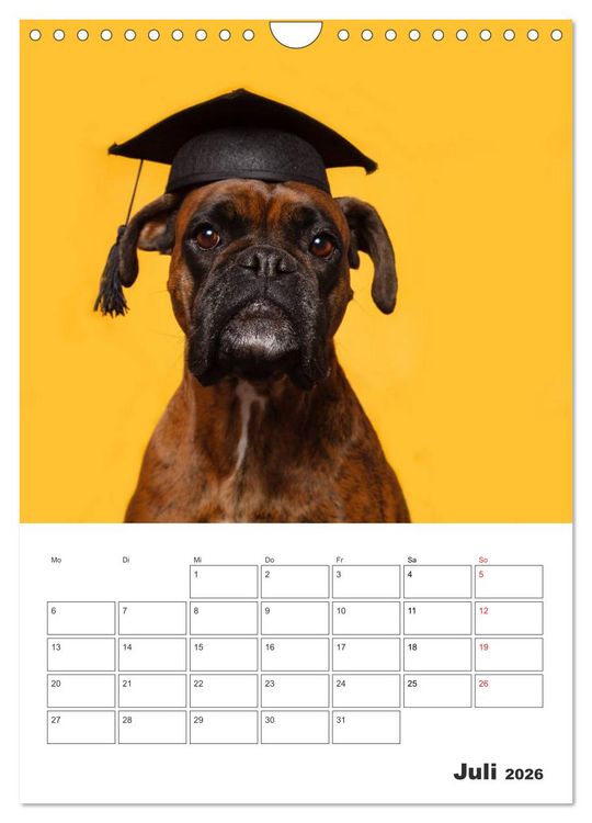 Produktbild: colorful world of boxer 2026 (Wandkalender 2026 DIN A4 hoch), CALVENDO Monatskalender