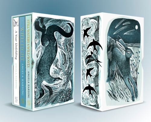 Produktbild: Angela Harding Box Set