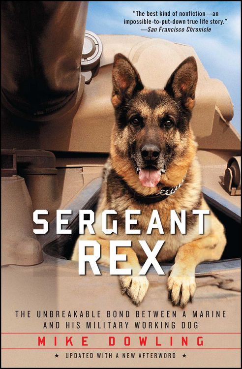 Produktbild: Sergeant Rex