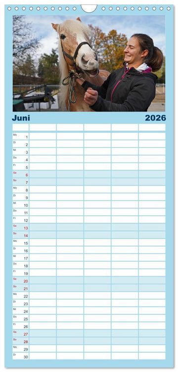 Produktbild: Familienplaner 2026 - Faszination Haflinger mit 5 Spalten (Wandkalender, 21 x 45 cm) CALVENDO