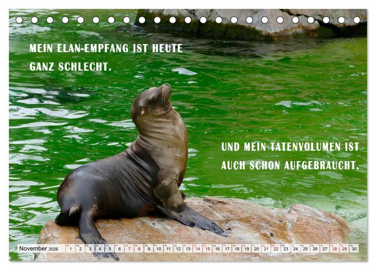 Produktbild: M&uuml;de, faul und arbeitsscheu (Tischkalender 2026 DIN A5 quer), CALVENDO Monatskalender
